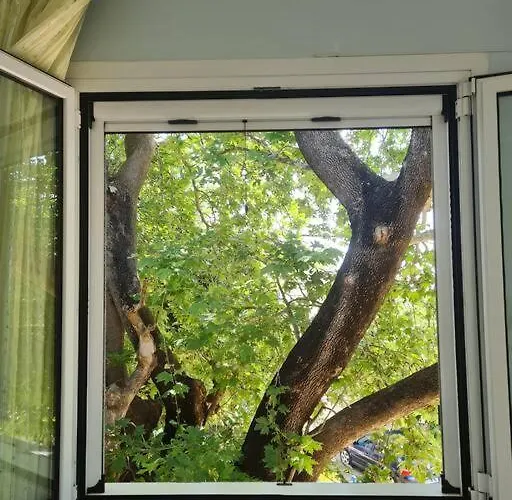 Casa vacanze Cosy House Filiatrá